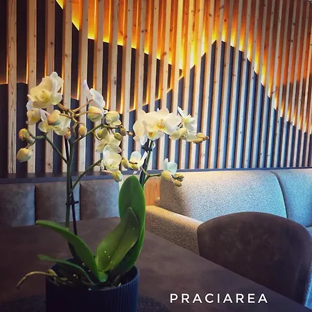 Apartment Pra Ciarea *
